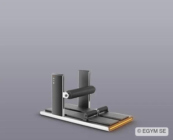 EGYM Smart Flex Hüfte
