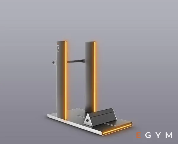 EGYM Smart Flex Wade
